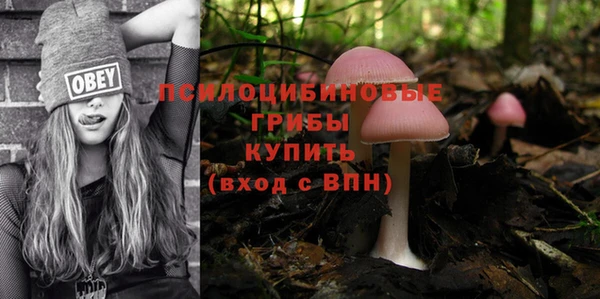 гашиш Аркадак