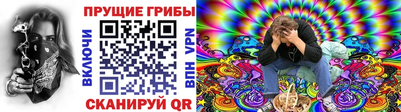 как найти закладки Дыгулыбгей Псилоцибиновые грибы MAGIC MUSHROOMS